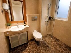 The Hermitage (D10), Apartment #553877711